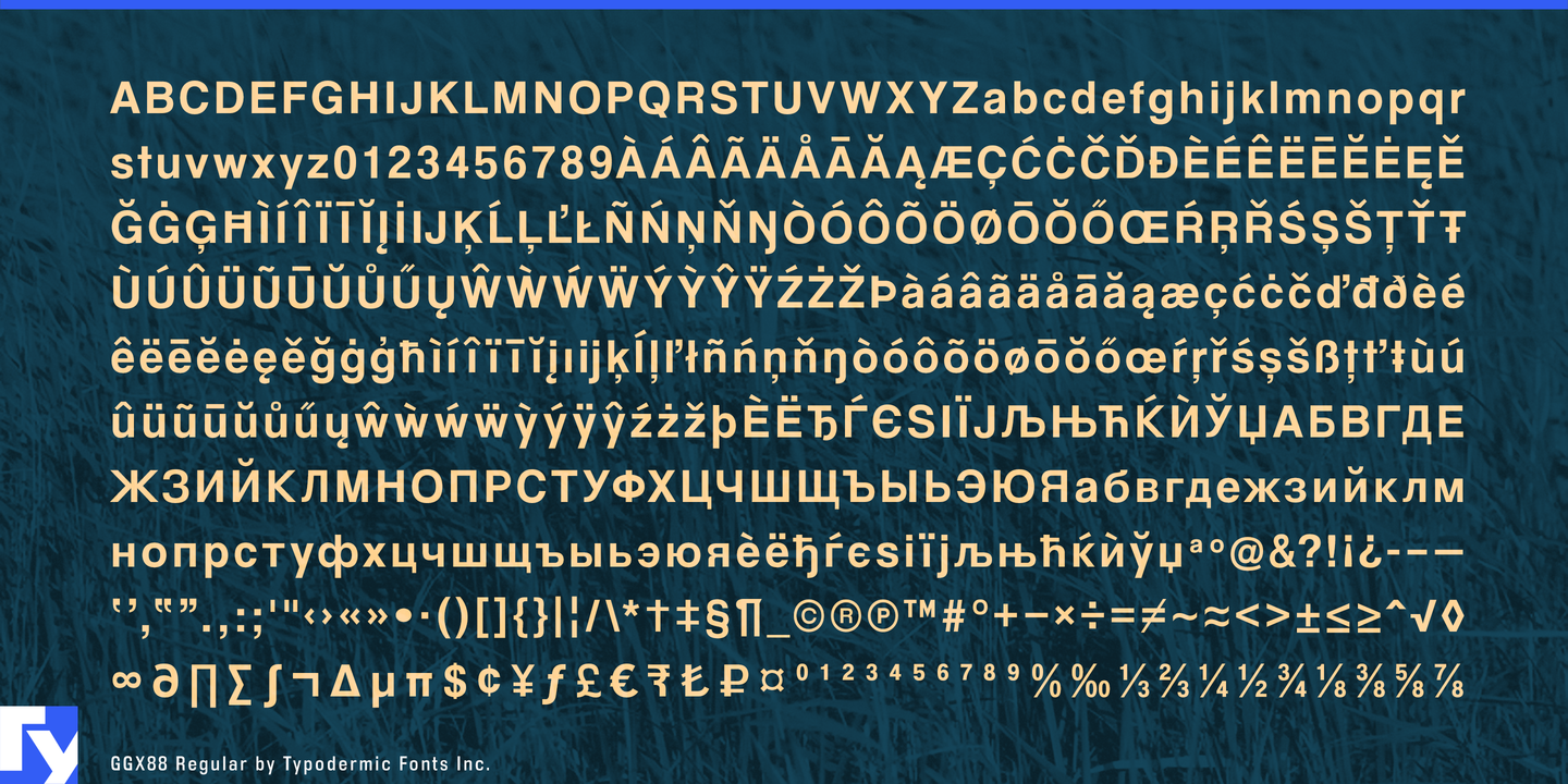 Ggx88 Heavy Italic Font preview